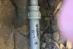 Photo-Nov-02-11-39-05-AM-scaled