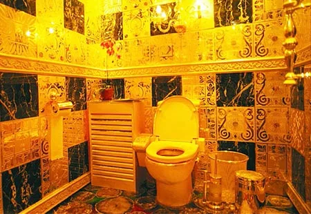 A luxurious and expensive toilet